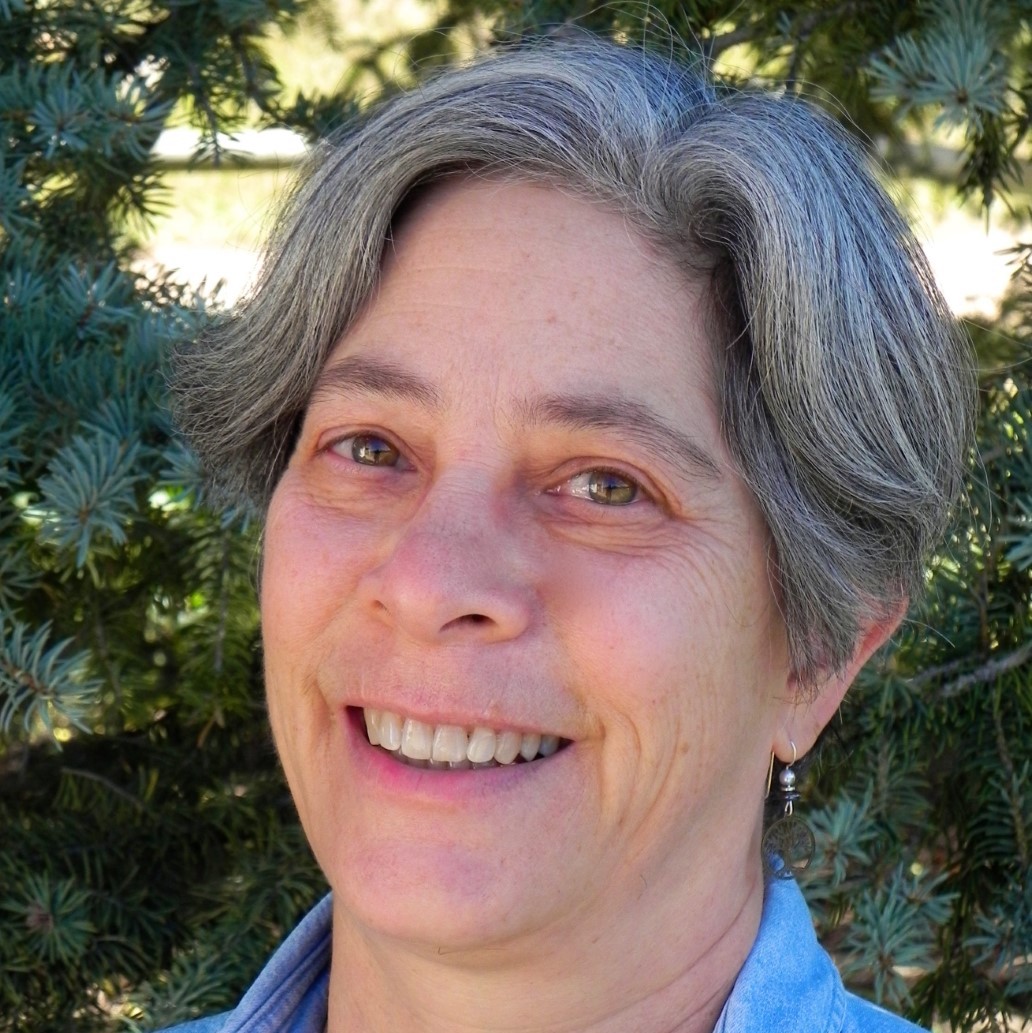 Robin Chazdon
